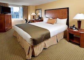 THE SKYLINE HOTEL NEW YORK 3