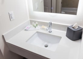 Holiday Inn & Suites BOCA RATON - NORTH by IHG 3