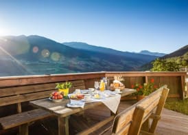 Hotel Gasthof Handl 5