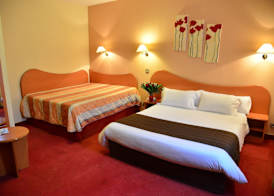 Aeroport Hotel - Parc Expo 4