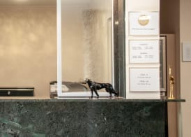 Hotel Birsighof Basel City Center 4