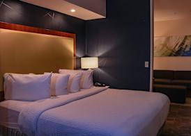 SpringHill Suites by Marriott Baton Rouge North / Airport 3