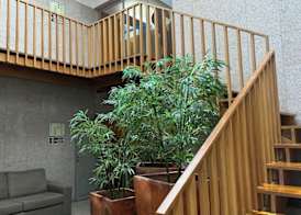 Flag Hotel Barcelos 3
