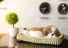 The Cube Hostel Silom 4
