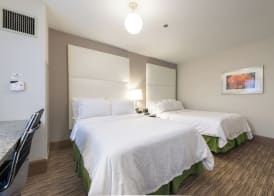 Holiday Inn Express CHICAGO - MAGNIFICENT MILE by IHG 3