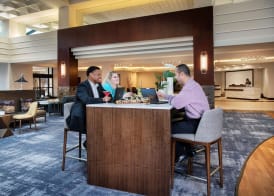 Hyatt Regency Dulles International Airport 3