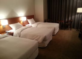 Seoul Rex Hotel 4