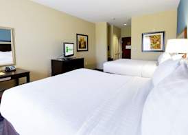 Holiday Inn HOUSTON-WEBSTER by IHG 5