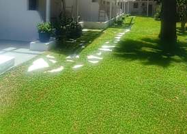 Trees Art Hotel 5