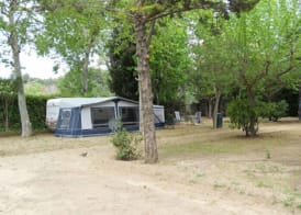 Nice Camps - Lloret de Mar 5