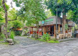 Ubud Sari Health Resort 4