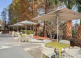 Hilton Garden Inn Tampa North 3