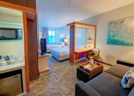 SpringHill Suites by Marriott Macon 5