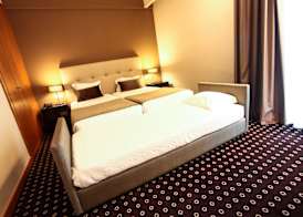 Grão Vasco - Historic Hotel and SPA 5