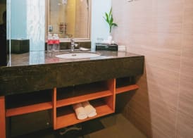 Ramada Plaza Shanghai Pudong Airport 5
