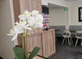 Hotel D'Anjou 2