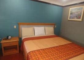 Travel Eagle Inn Motel 4