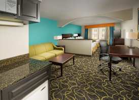 Holiday Inn Express & Suites DFW AIRPORT - GRAPEVINE by IHG 3