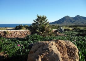 Cortijo El Paraíso 5