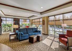 Comfort Suites Seaford 3