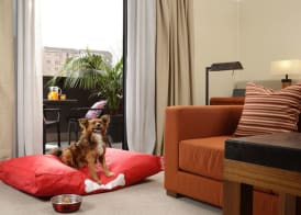 Milan Suite Hotel 4