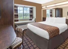 Microtel Inn & Suites by Wyndham Ozark 3