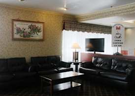 Metro Plaza Hotel 4