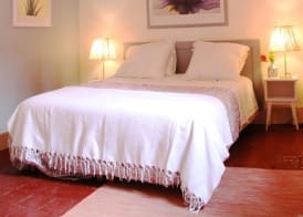 Ombre Rose 5