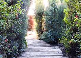 Lavandeira Douro Nature & Wellness 2