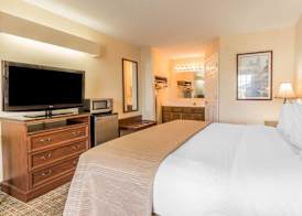 Rodeway Inn Sylacauga Hwy 280 4