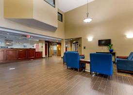 Comfort Inn & Suites Cambridge 3