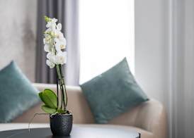 Hotel Rheingerbe 4