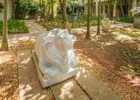Roman Life Ayurveda Resort 5