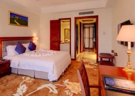 Hawana Resort Guangzhou 5