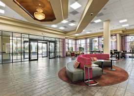 Orlando Palms 2