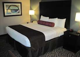 Best Western Plus Kingston Hotel And Conference Center 5
