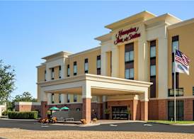 Hampton Inn & Suites by Hilton Tampa Busch Gardens Area 2