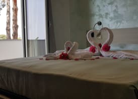 HOTEL MERCURIO SUL MARE - Fish restaurant and private beach 2