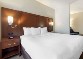 Comfort Suites West Dallas - Cockrell Hill 4