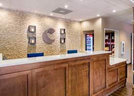 Comfort Inn & Suites Lynchburg Airport - University Area 4