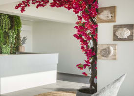 Erolidae Villas 3
