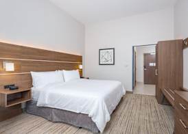 Holiday Inn Express & Suites ELKHART NORTH by IHG 3