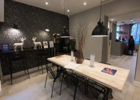 Best Western Plus Delmere Hotel 5