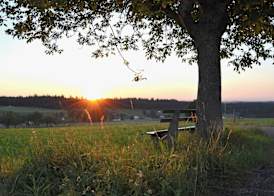 Schwanen 2