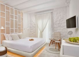 Petri Suites 3