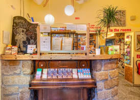 Hostel Lollis Homestay Dresden 3