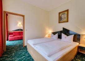 Waldhotel Vogtland 5
