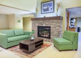 Super 8 by Wyndham Midland 4