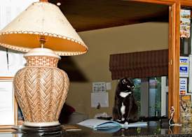 Out of Africa Town Lodge 2