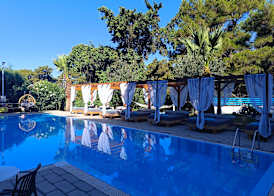 Trees Art Hotel 3